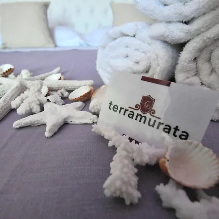 Couette-café Terra Murata Boutique