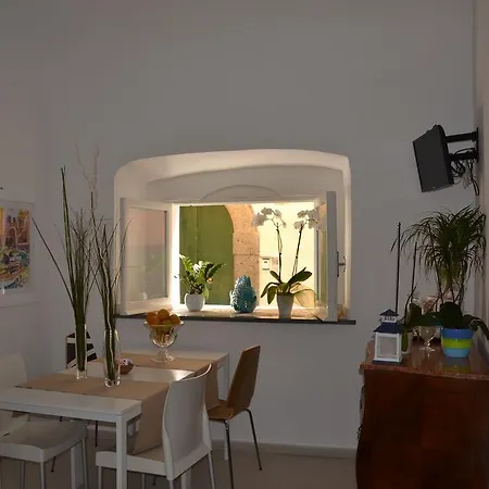 Terra Murata Boutique