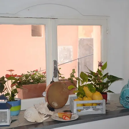 Terra Murata Boutique Couette-café