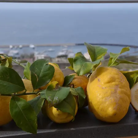 Terra Murata Boutique