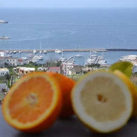 Terra Murata Boutique