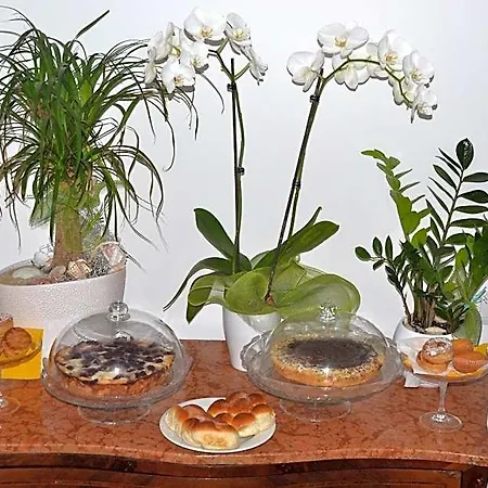 Terra Murata Boutique Nocleg ze śniadaniem
